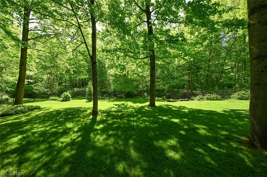 3530 Brush Road Richfield, OH 44286 - Photo 35 of 35 View of yard