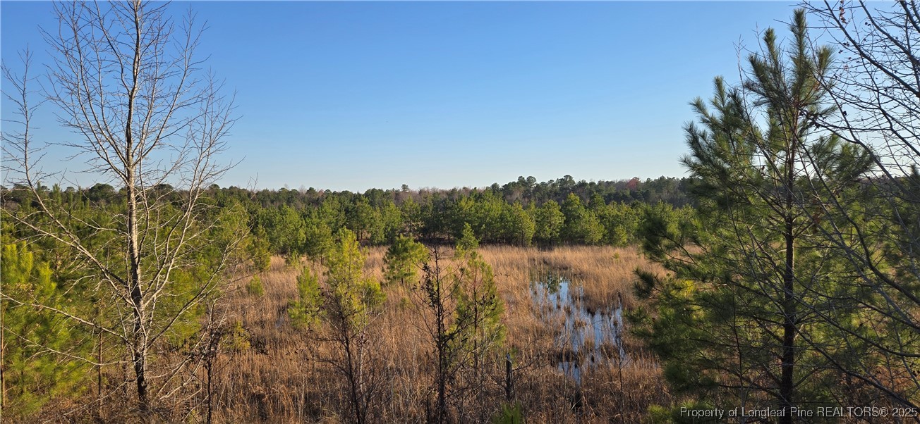3 Josey Williams Road Erwin, NC 28339 - Photo 1 of 4 a view of a lake with lots of trees
