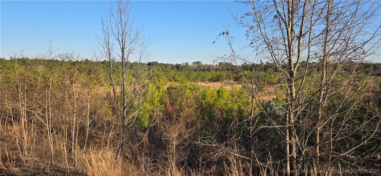 3 Josey Williams Road Erwin, NC 28339 - Photo 2 of 4 a view of a yard with a tree