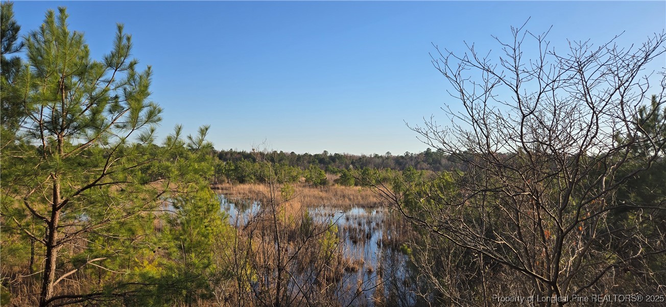 3 Josey Williams Road Erwin, NC 28339 - Photo 3 of 4 a view of a lake with a mountain in the background