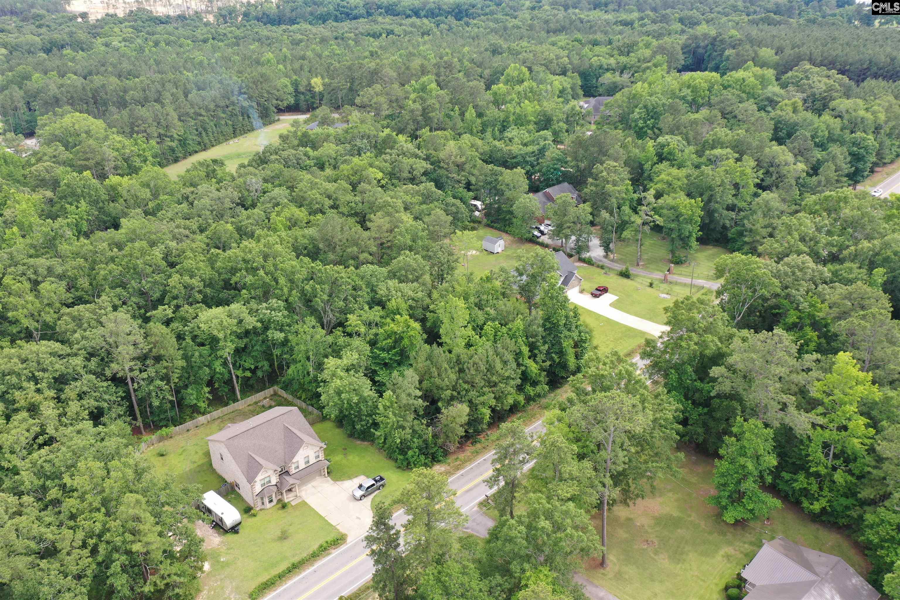 743 Amicks Ferry Road Chapin, SC 29036 - Photo 9 of 11