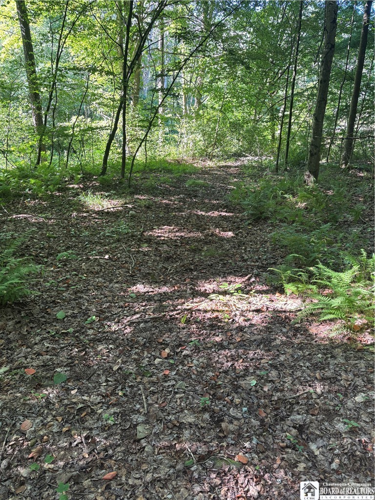 2045 Baxter Mills Road Ischua, NY 14743 - Photo 11 of 44
