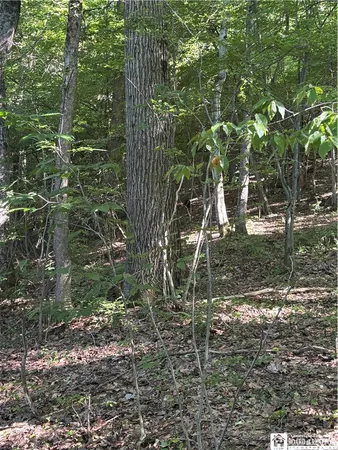 $69,000 | 2045 Baxter Mills Road, Ischua, NY 14743
