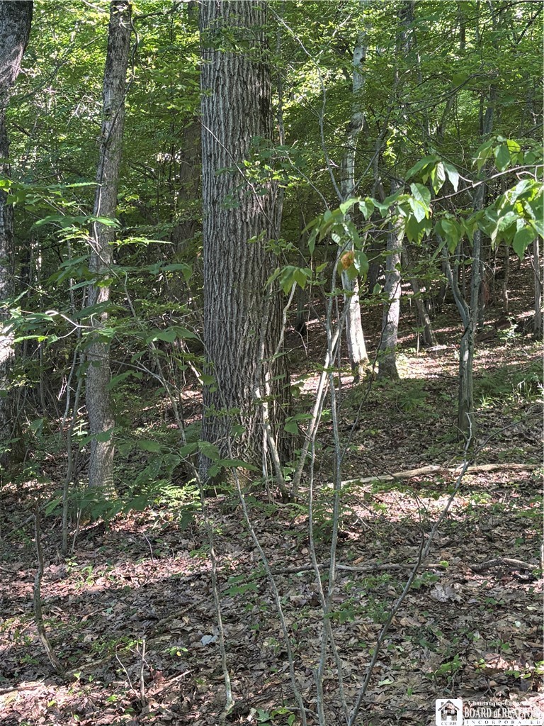 2045 Baxter Mills Road Ischua, NY 14743 - Photo 13 of 44