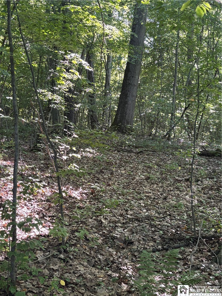 2045 Baxter Mills Road Ischua, NY 14743 - Photo 14 of 44