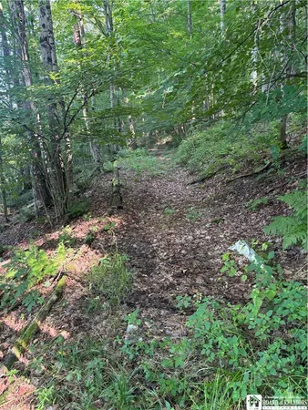 $69,000 | 2045 Baxter Mills Road, Ischua, NY 14743