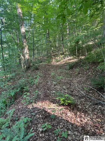 $69,000 | 2045 Baxter Mills Road, Ischua, NY 14743