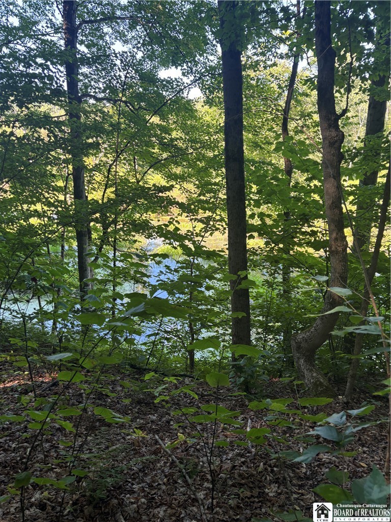 2045 Baxter Mills Road Ischua, NY 14743 - Photo 19 of 44