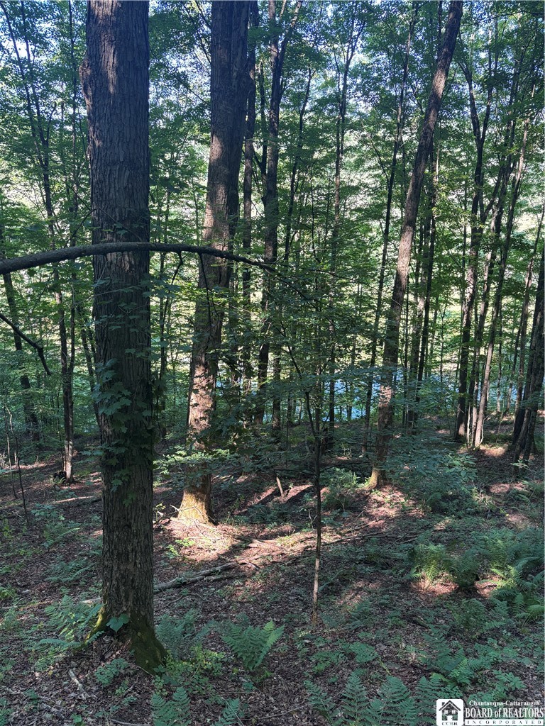 2045 Baxter Mills Road Ischua, NY 14743 - Photo 21 of 44