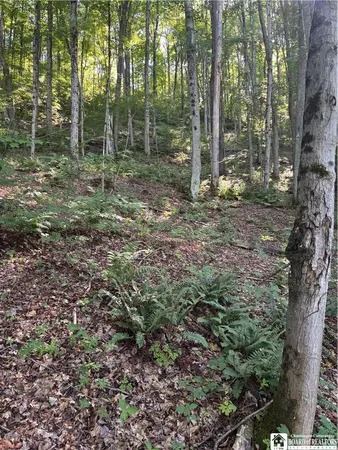 $69,000 | 2045 Baxter Mills Road, Ischua, NY 14743