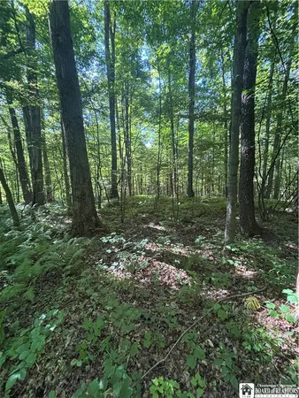 $69,000 | 2045 Baxter Mills Road, Ischua, NY 14743