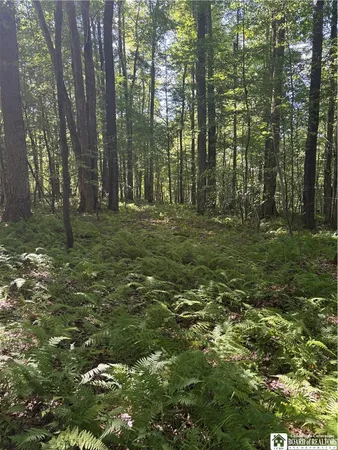 $69,000 | 2045 Baxter Mills Road, Ischua, NY 14743