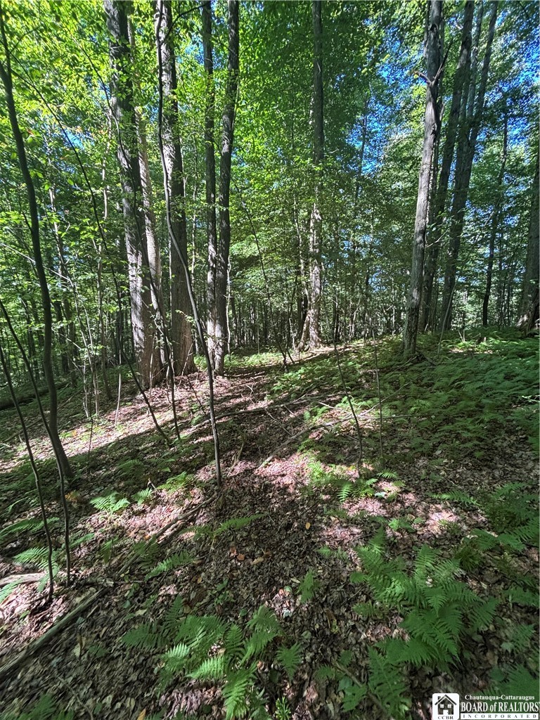 2045 Baxter Mills Road Ischua, NY 14743 - Photo 26 of 44