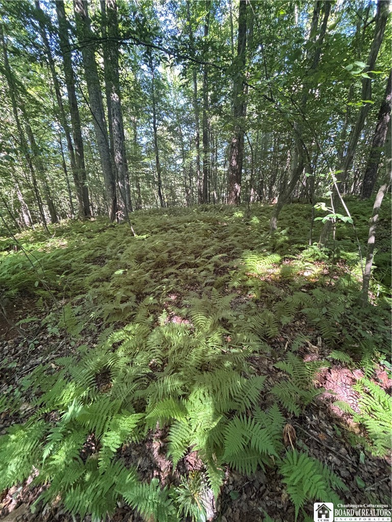 2045 Baxter Mills Road Ischua, NY 14743 - Photo 27 of 44