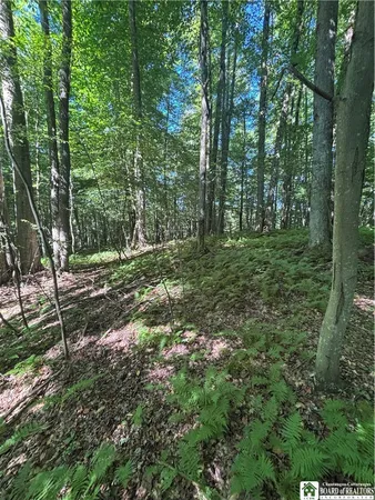 $69,000 | 2045 Baxter Mills Road, Ischua, NY 14743