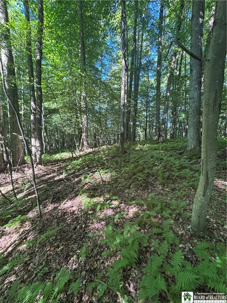 2045 Baxter Mills Road Ischua, NY 14743 - Photo 28 of 44