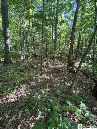 $69,000 | 2045 Baxter Mills Road, Ischua, NY 14743