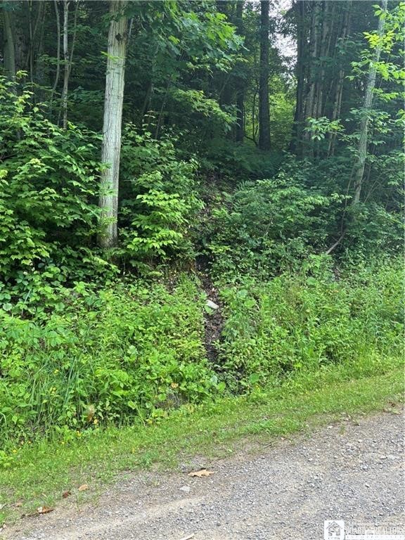 2045 Baxter Mills Road Ischua, NY 14743 - Photo 36 of 44