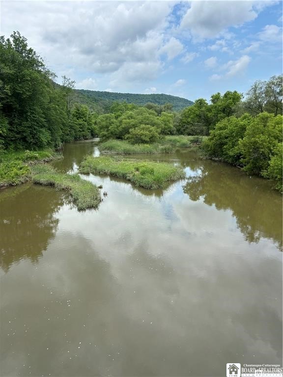 2045 Baxter Mills Road Ischua, NY 14743 - Photo 43 of 44