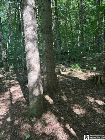 $69,000 | 2045 Baxter Mills Road, Ischua, NY 14743