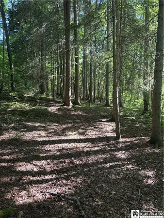 $69,000 | 2045 Baxter Mills Road, Ischua, NY 14743