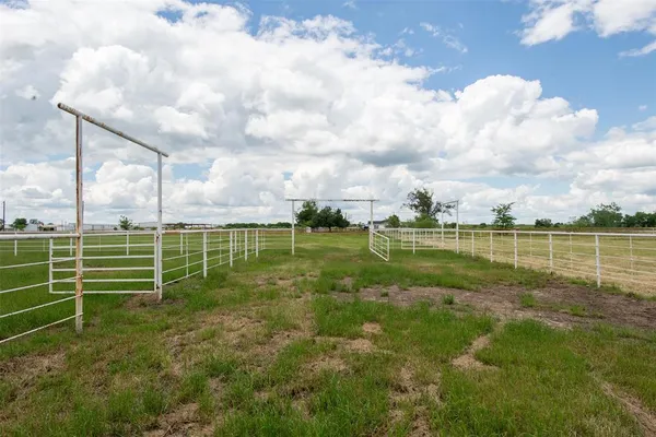 a view of a water with big trees