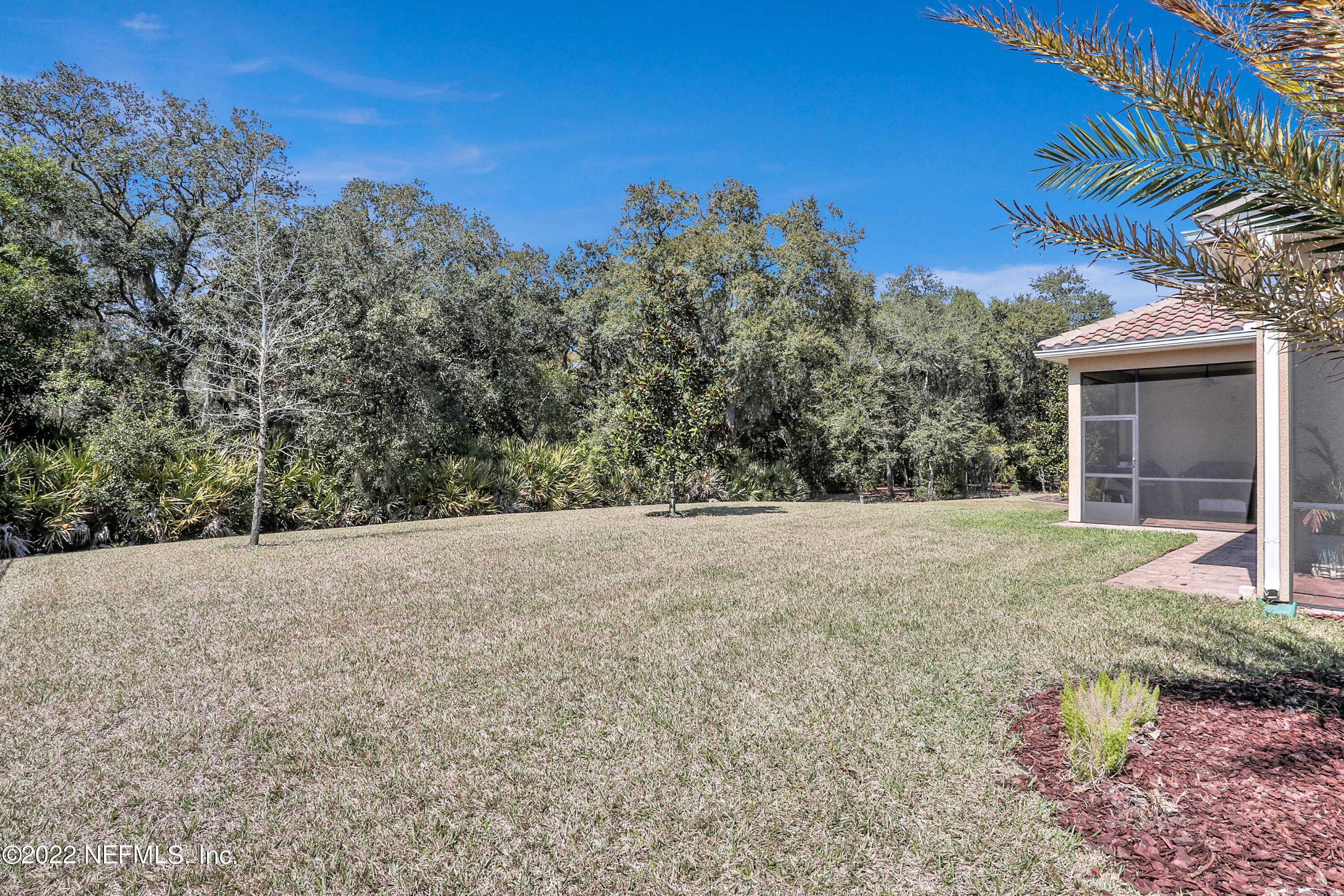 143 Barbella Circle St. Augustine, FL 32095 - Photo 61 of 95 a view of a backyard with plants and large trees