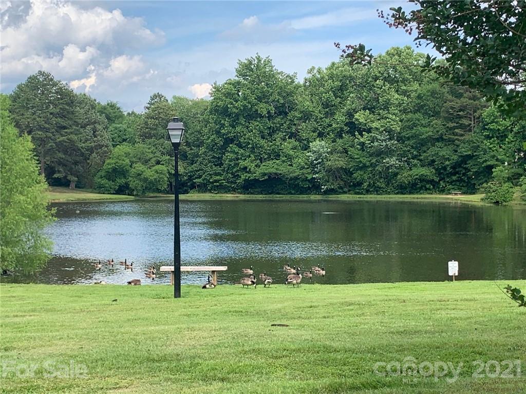 2341 Beaver Pond Road, Unit 202 Kannapolis, NC 28083 - Photo 3 of 21 Gallery Image 3