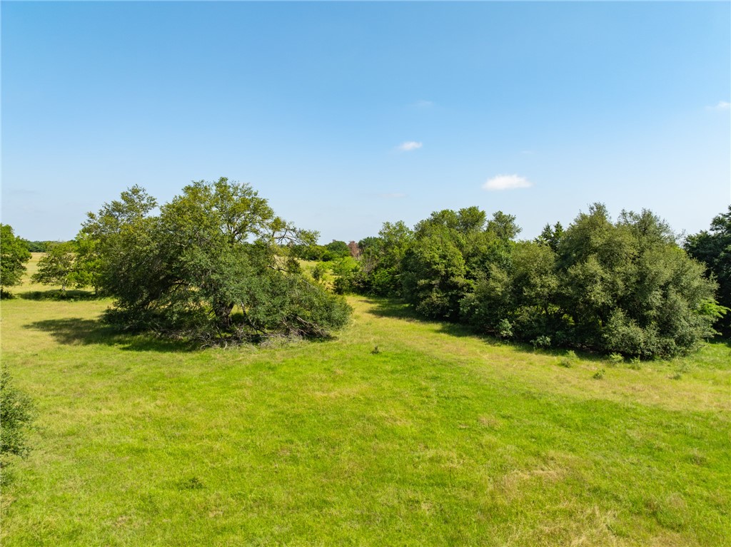 654 Lcr 654 Road Thornton, TX 76687 - Photo 20 of 64 a view of a large yard with plants and large trees