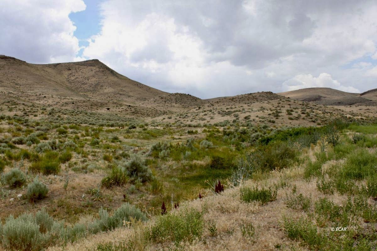 5th Street Elko, NV 89801 - Photo 16 of 20