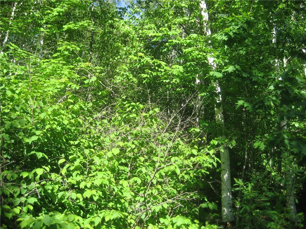 0 Rhodes Ln Union Union, ME 04862 - Photo 21 of 25 Photo