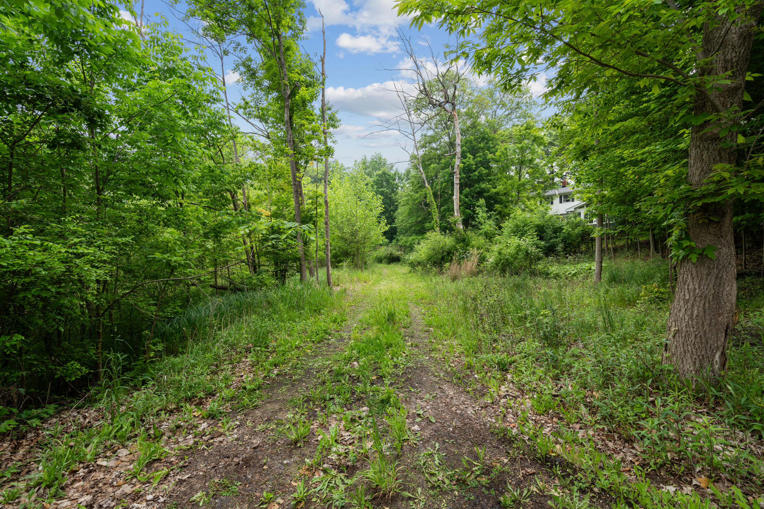 36300 Howard Road Farmington, MI 48331 - Photo 9 of 26 9_36300 howard rd_021