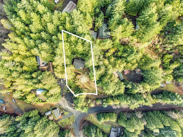 a view of a garden with a tree