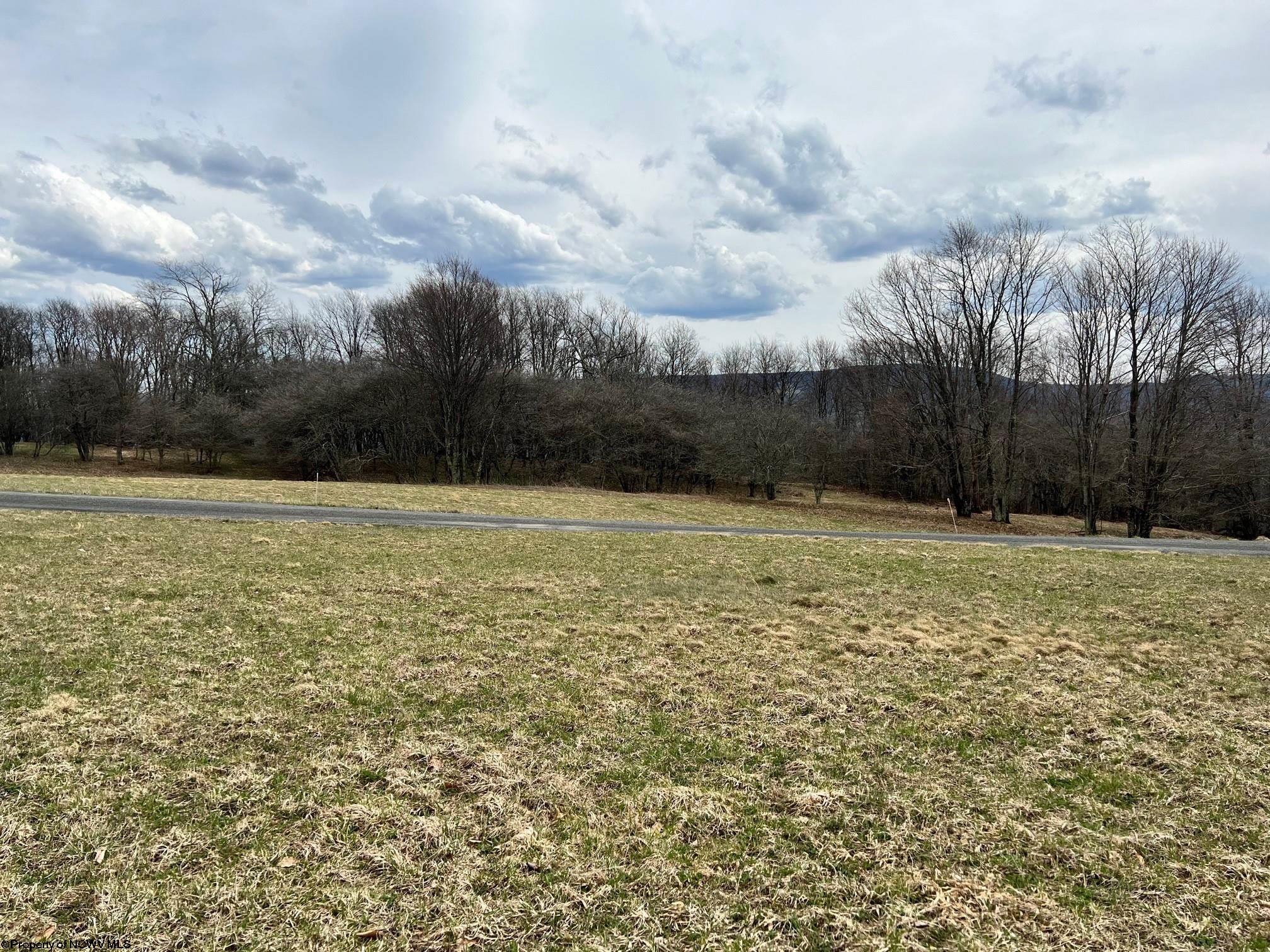 29 Pointy Knob Road Davis, WV 26260 - Photo 12 of 17 Gallery Image 12