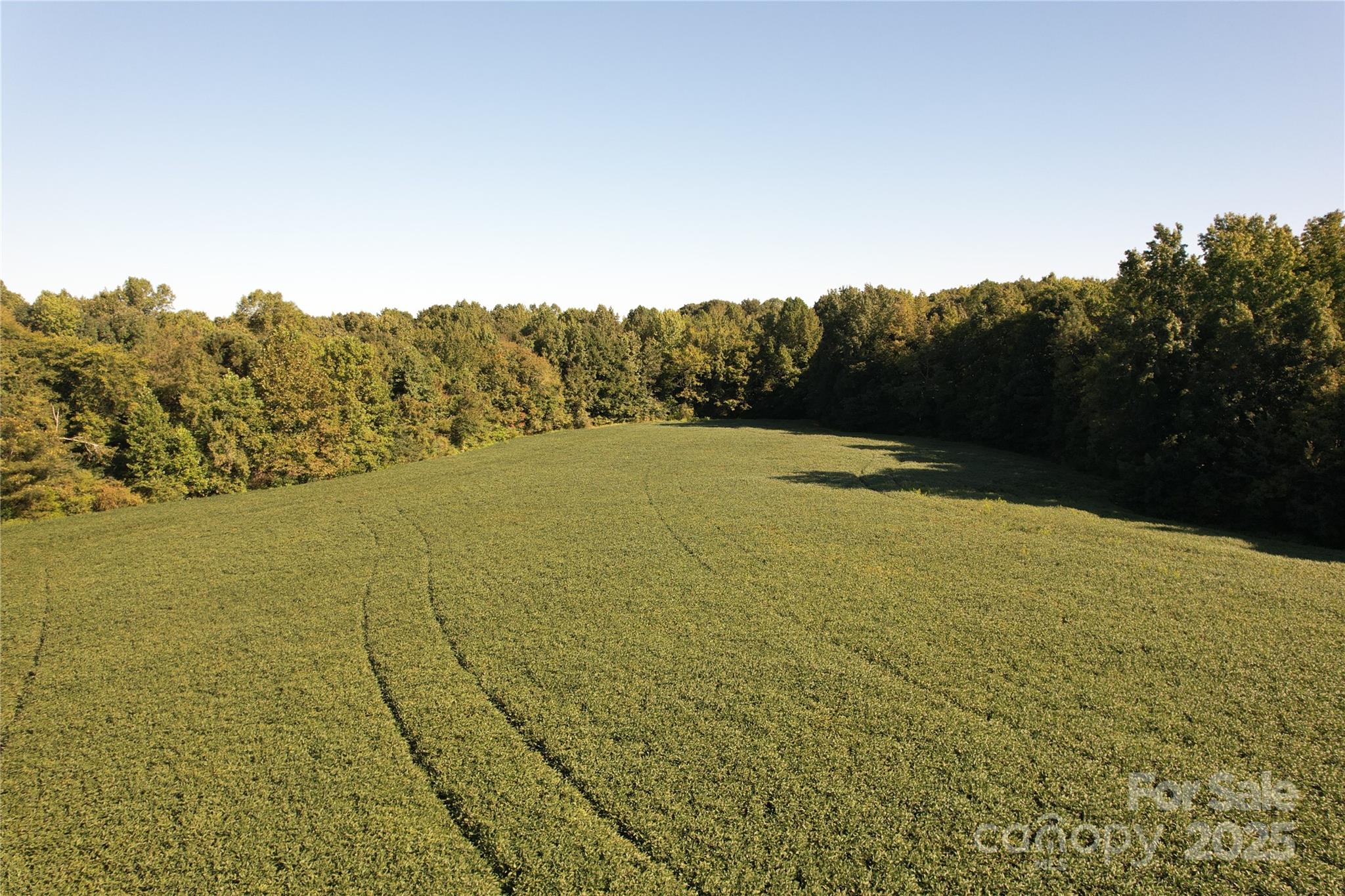 0 Belfield Road Lawrenceville, VA 23868 - Photo 1 of 34 a view of an ocean