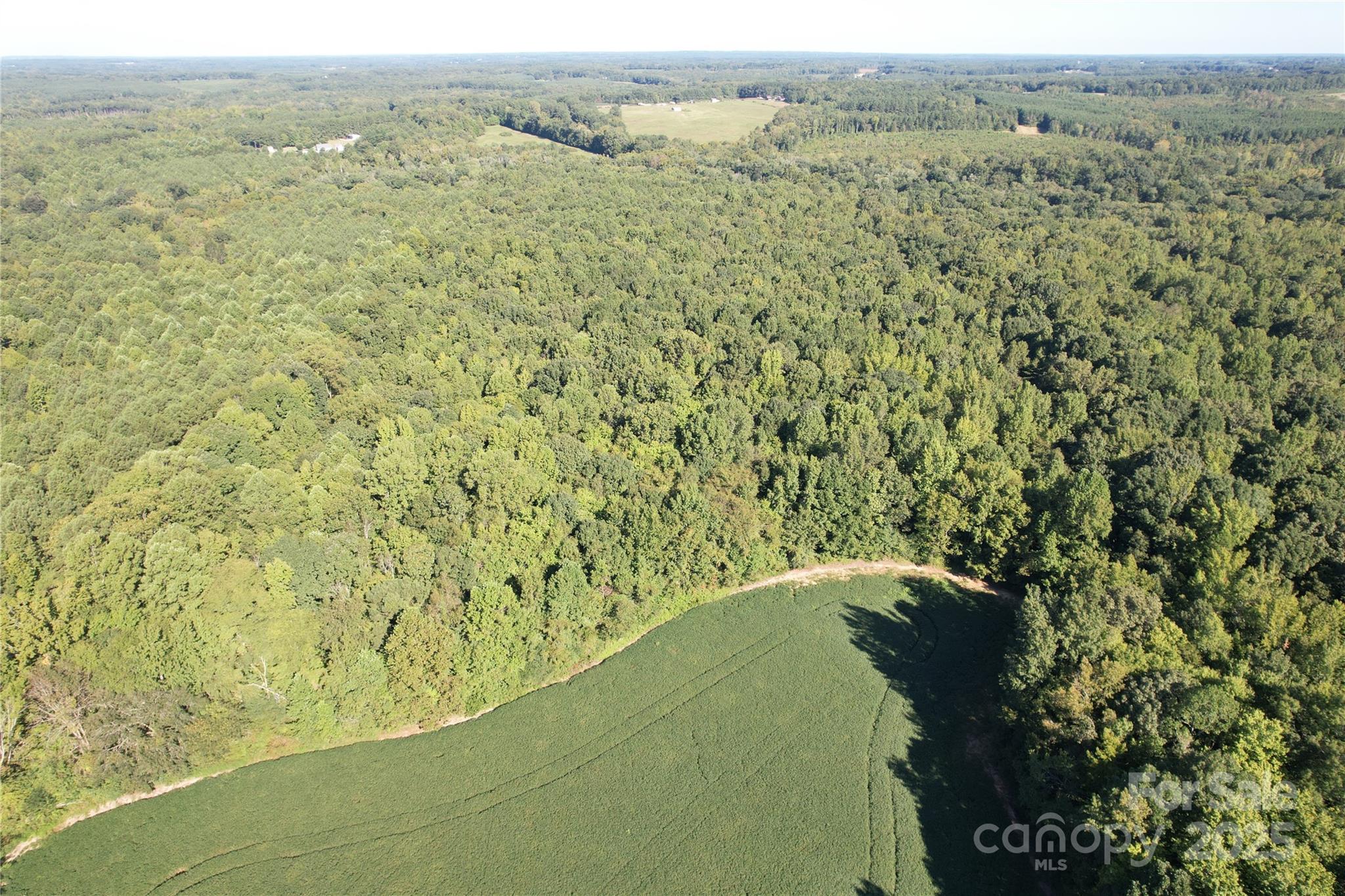 0 Belfield Road Lawrenceville, VA 23868 - Photo 11 of 34 a view of a forest with a mountain view