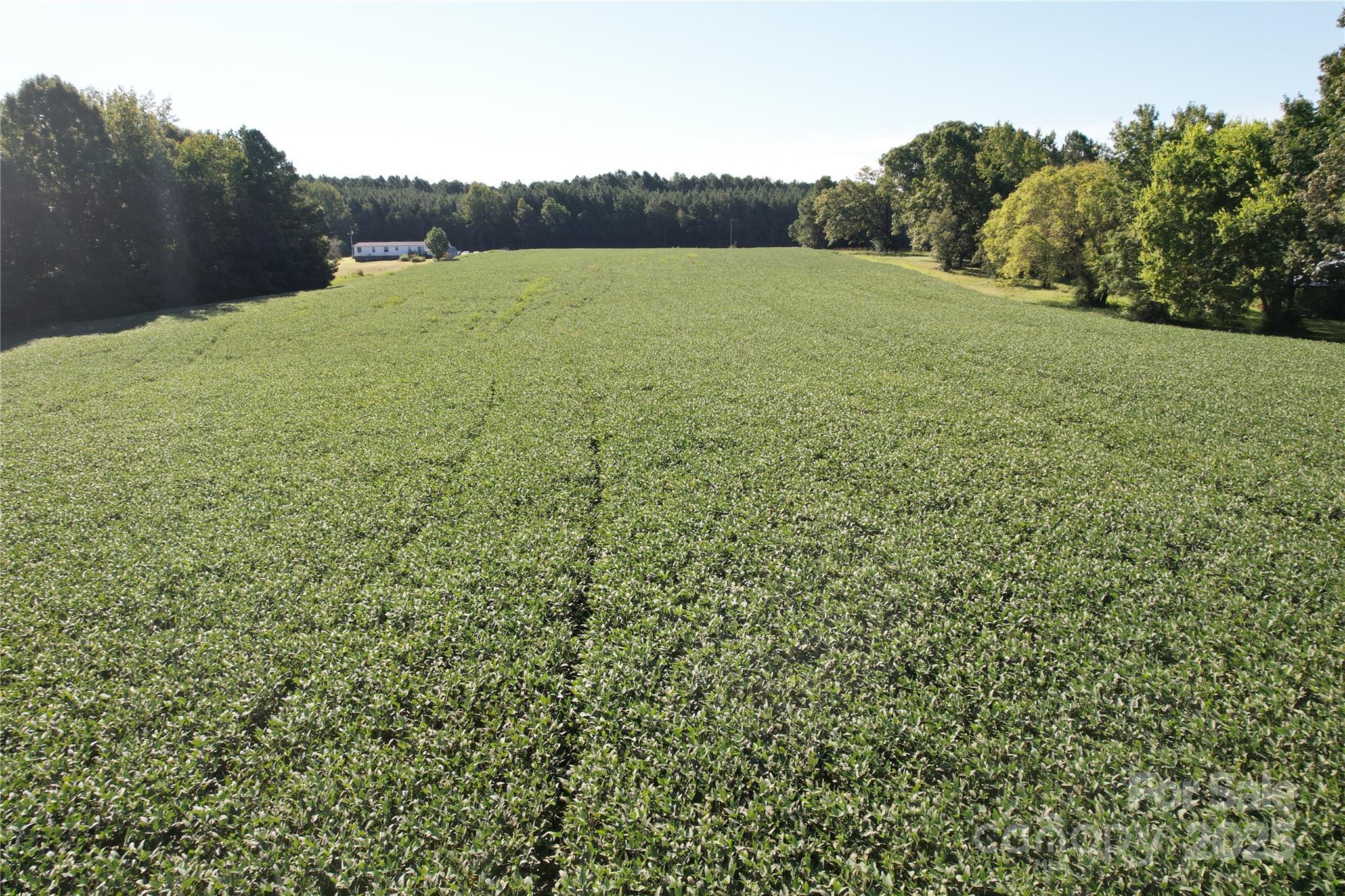 0 Belfield Road Lawrenceville, VA 23868 - Photo 14 of 34 a view of a outdoor space and a yard