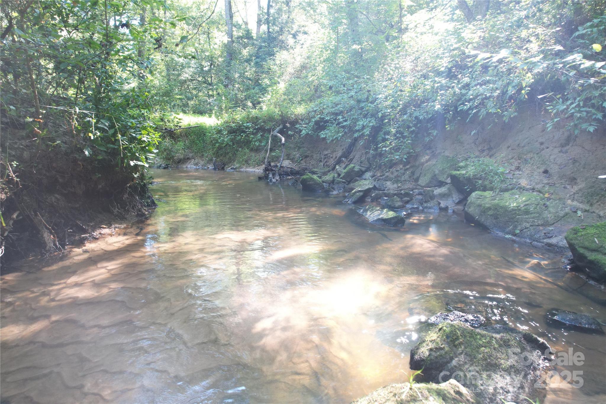 0 Belfield Road Lawrenceville, VA 23868 - Photo 17 of 34 a view of lake with green space