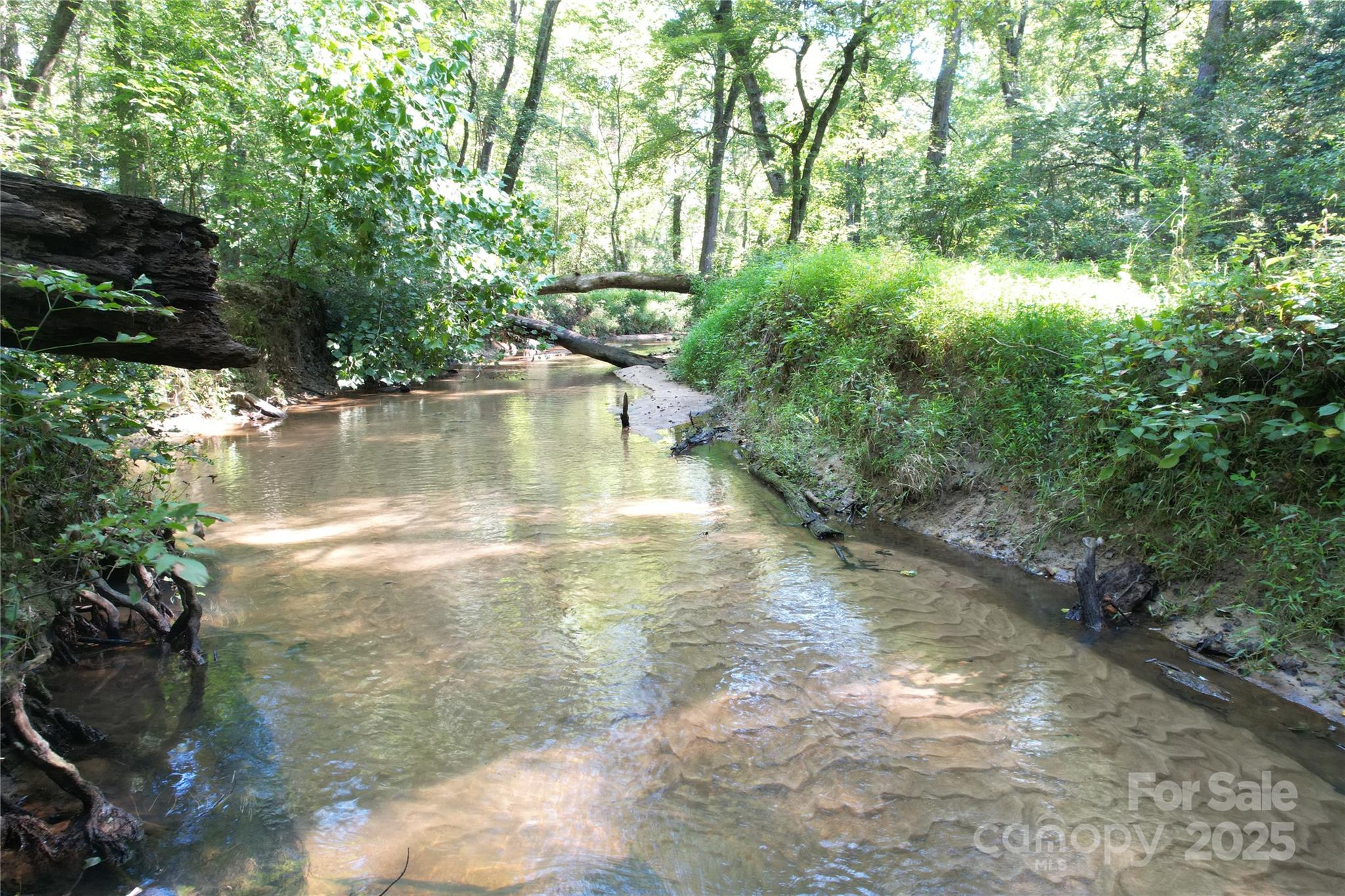 0 Belfield Road Lawrenceville, VA 23868 - Photo 18 of 34 a view of a lake with a yard