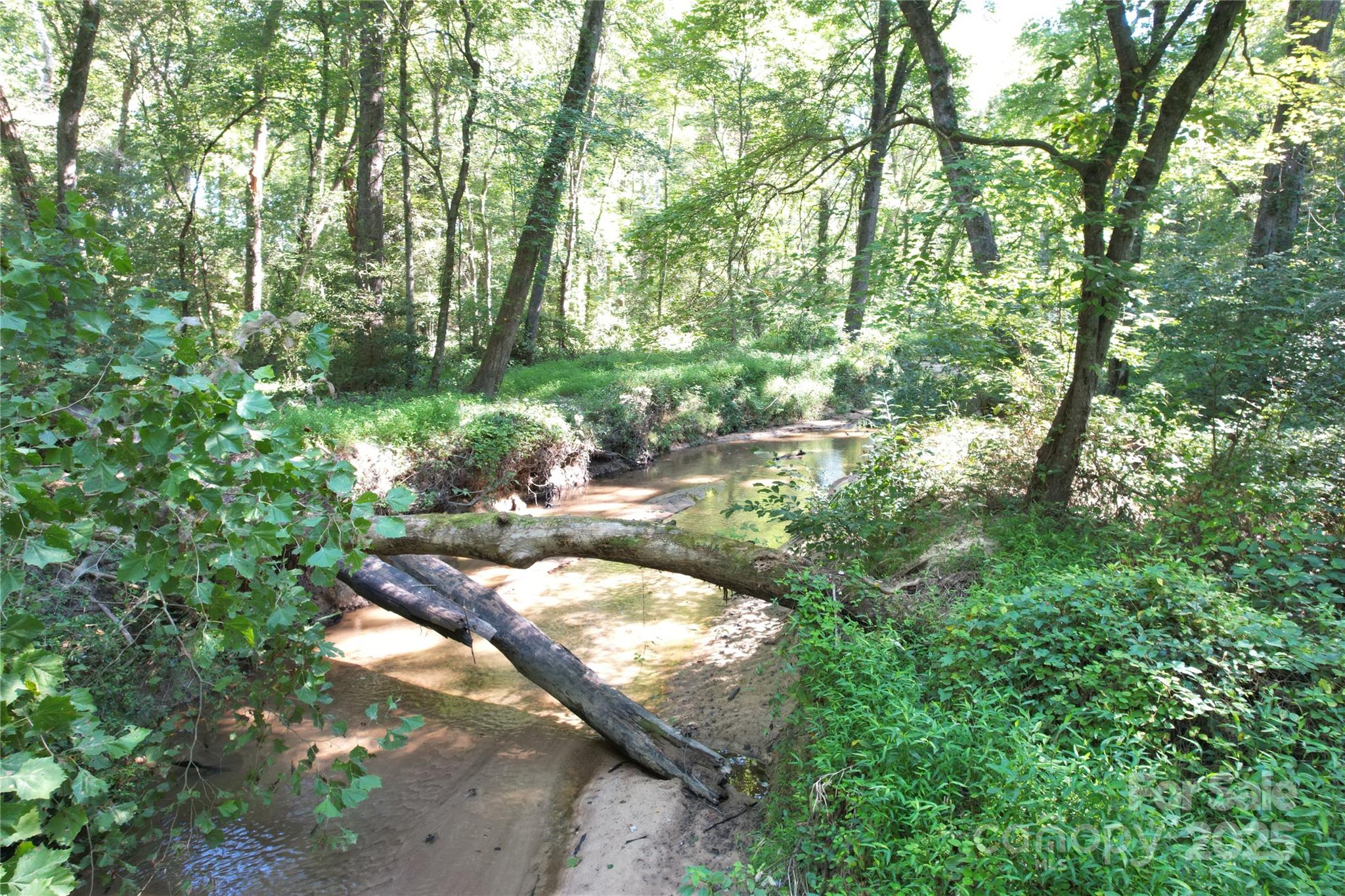 0 Belfield Road Lawrenceville, VA 23868 - Photo 19 of 34 a view of yard