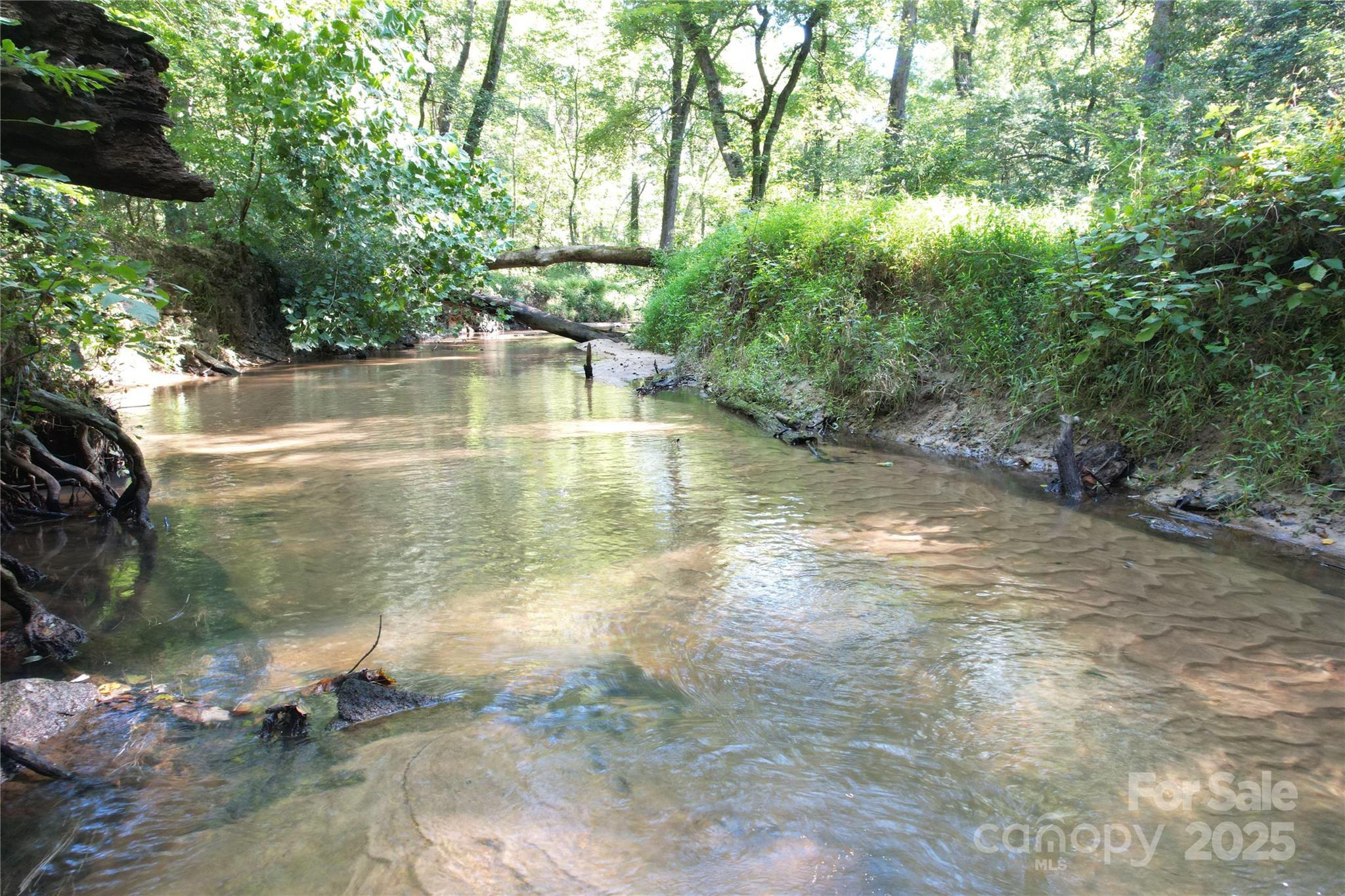 0 Belfield Road Lawrenceville, VA 23868 - Photo 2 of 34 a view of a lake view with a garden