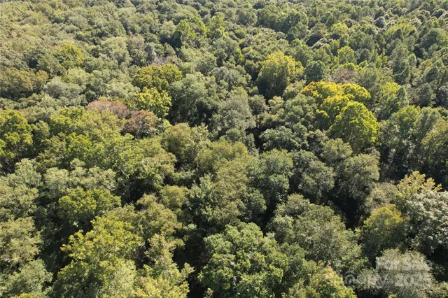 a view of flowers in a yard