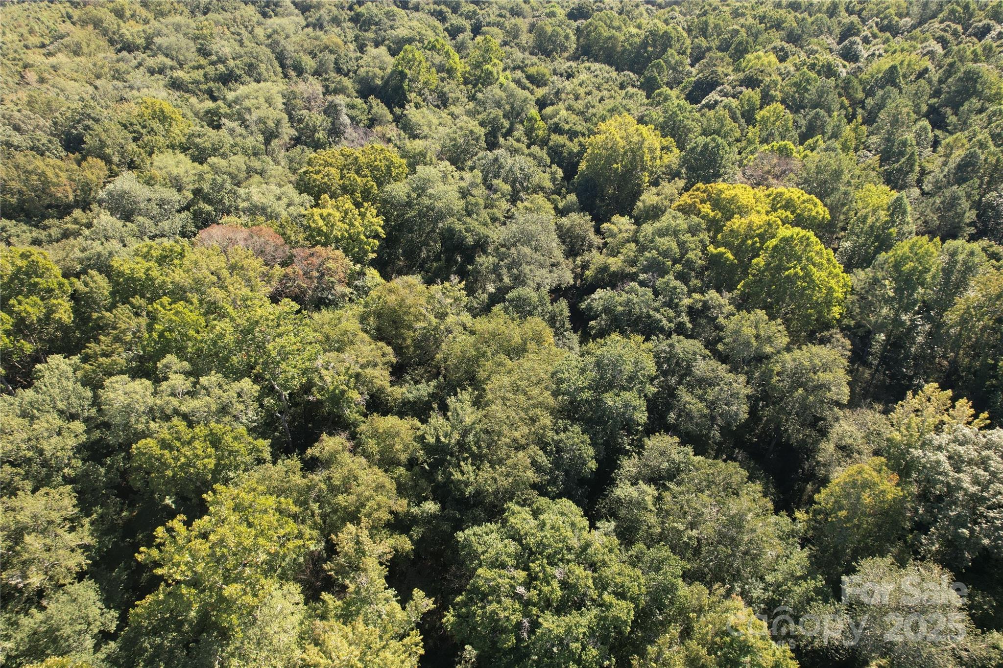 0 Belfield Road Lawrenceville, VA 23868 - Photo 21 of 34