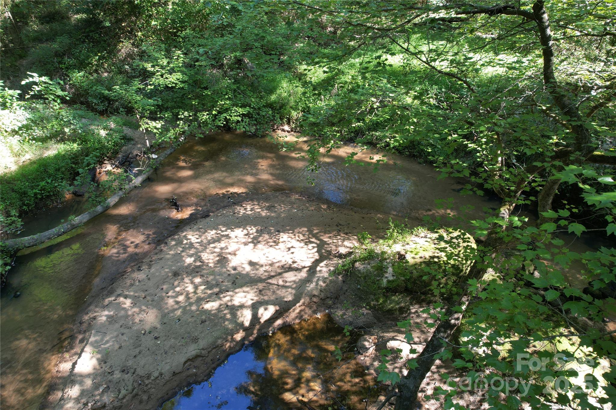 0 Belfield Road Lawrenceville, VA 23868 - Photo 23 of 34 a view of a tree in a yard