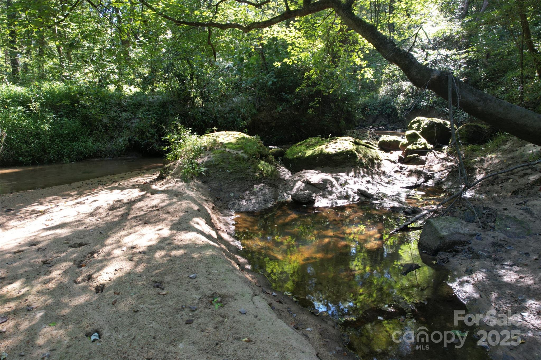 0 Belfield Road Lawrenceville, VA 23868 - Photo 24 of 34 a view of flowers in a yard