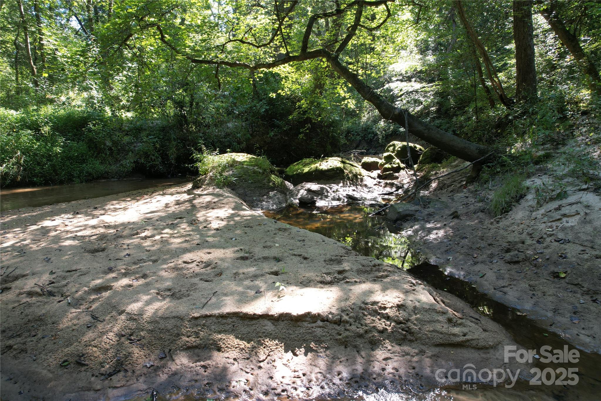 0 Belfield Road Lawrenceville, VA 23868 - Photo 25 of 34 a view of a yard with plants and large trees