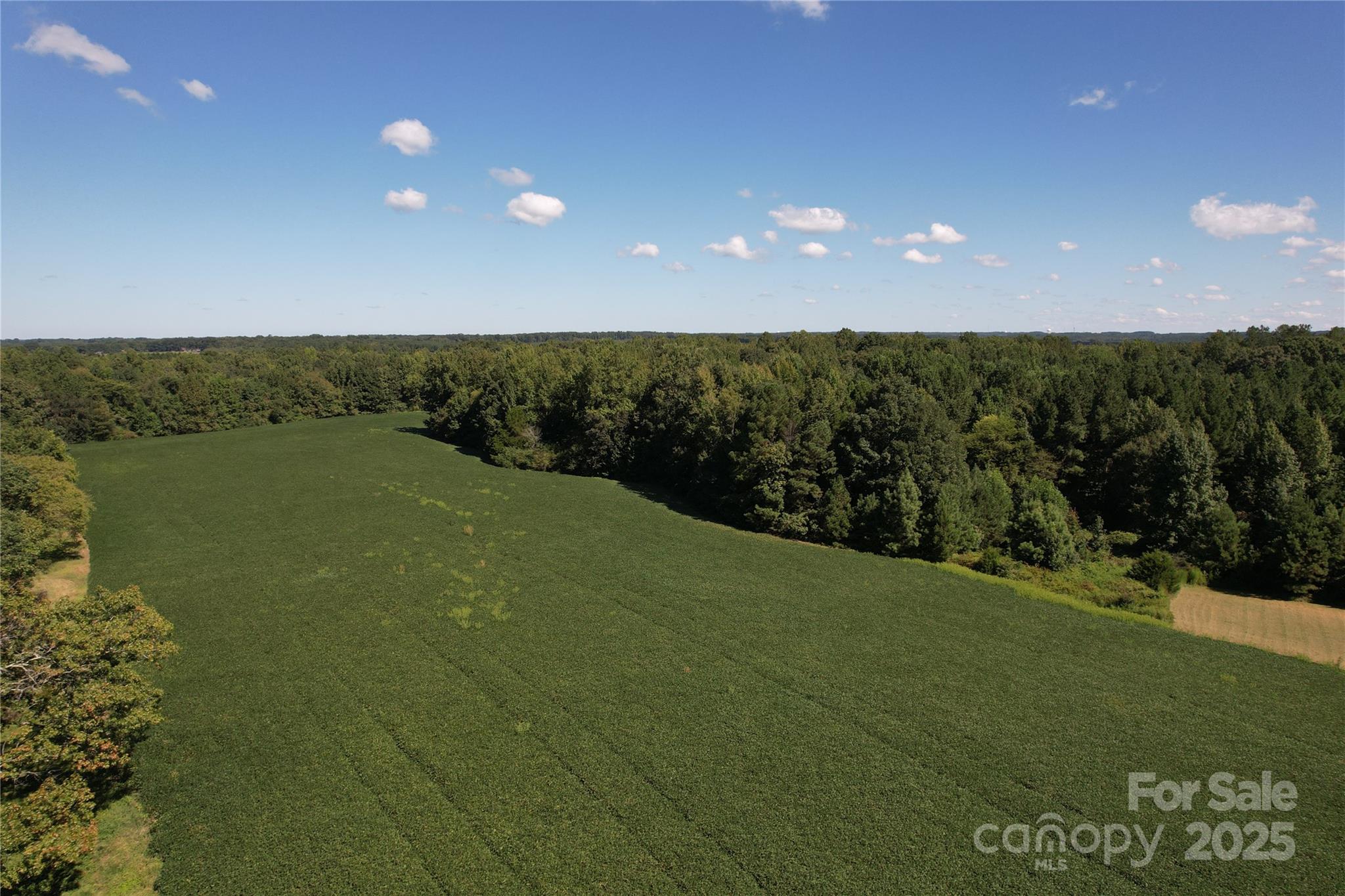 0 Belfield Road Lawrenceville, VA 23868 - Photo 26 of 34 a view of a green field