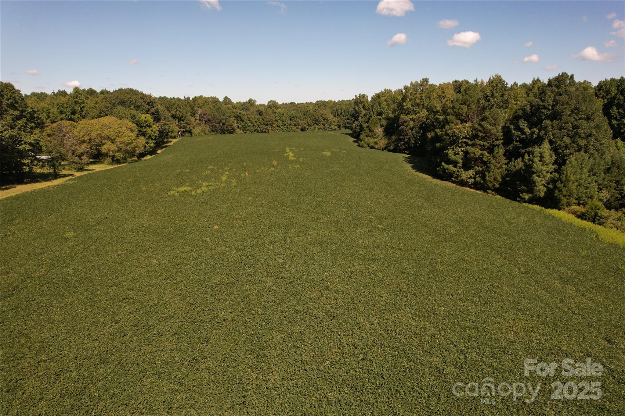 0 Belfield Road Lawrenceville, VA 23868 - Photo 27 of 34 a view of a mountain