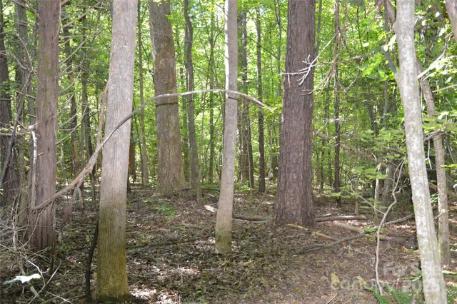 a view of outdoor space and green space