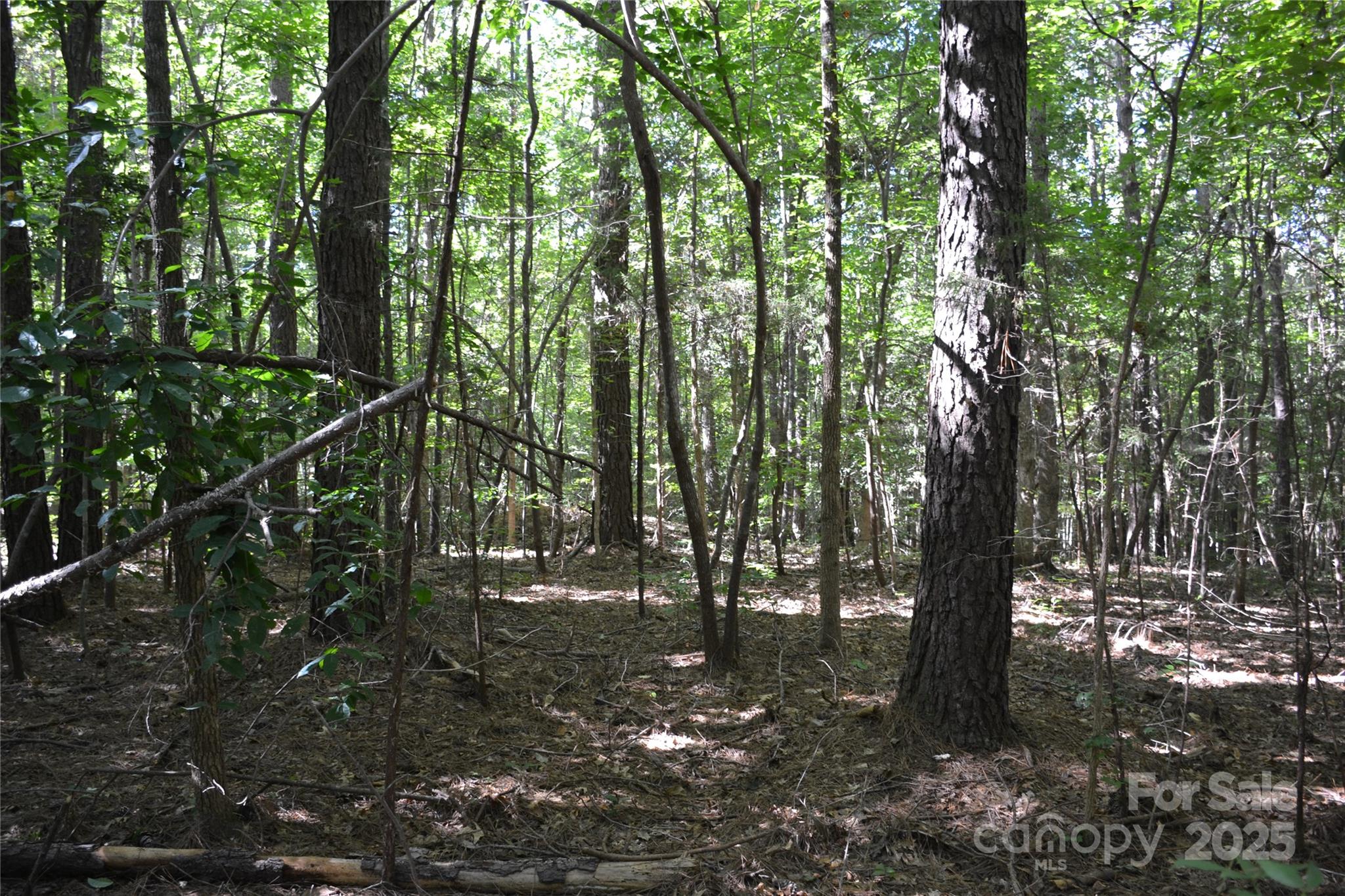 0 Belfield Road Lawrenceville, VA 23868 - Photo 33 of 34 a view of outdoor space and green space